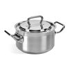 Professional - Кастрюля 3,2 л, диам. 20 см  + крышка, Barazzoni
